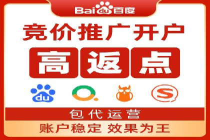 SEM运营策略案例分析